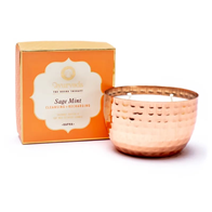 GEURKAARS SAGE MINT KAPHA SAGE MET 2 LONTEN IN POT - AYURVEDA THE DOSHA THERAPY